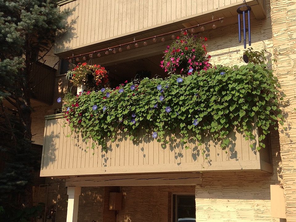 View from Outside