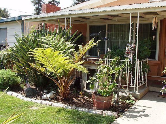 Front Patio