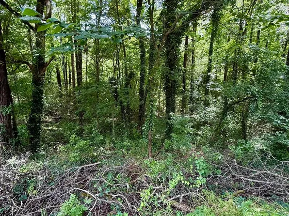 8215 Baker Ave, Leeds, AL 35094