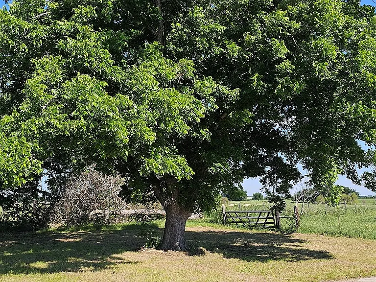 5081 FM 973 — Photo 27