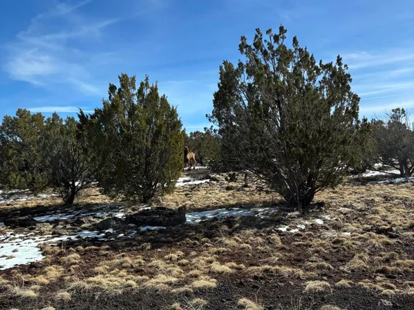 1632 VERNON MCNARY Road #20, Vernon, AZ 85940