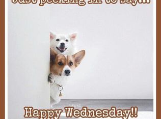 2955 SW McClure Rd #316, Topeka, KS 66614