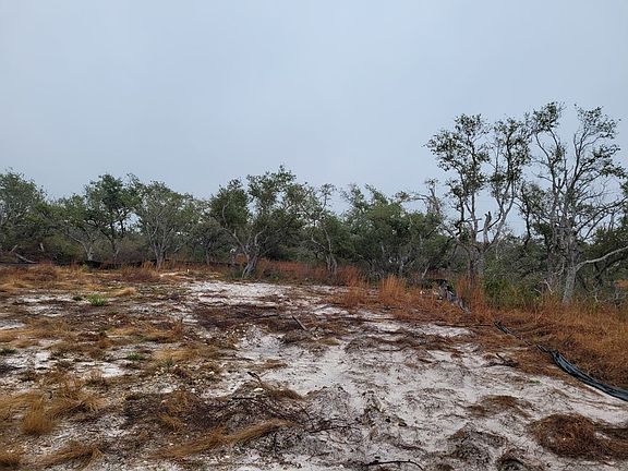 4th image of 1216 Poinciana