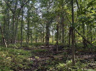 Lakewood Ln, Attica, MI 48412