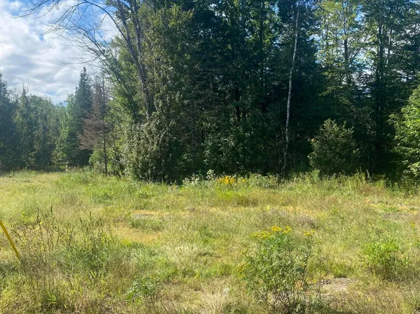 08-022 Walkers Mills Road, Bethel, ME 04217