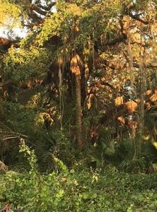 2027 Odessa Cir, Labelle, FL, 33935