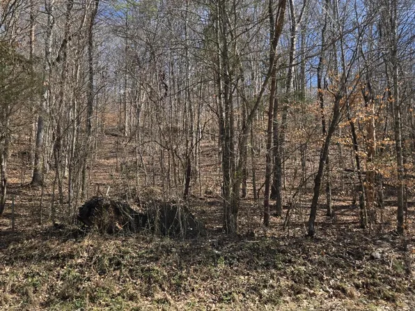 204 Archer Rd, Luttrell, TN 37779