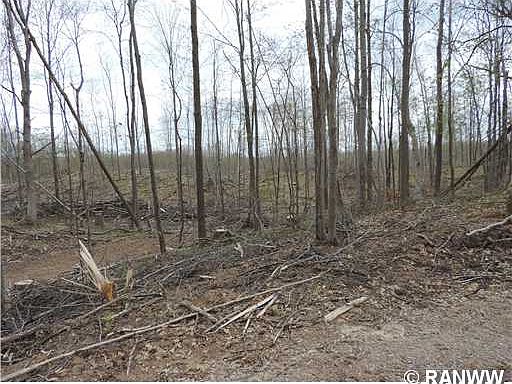 3rd image of 0 W Cranberry Drive