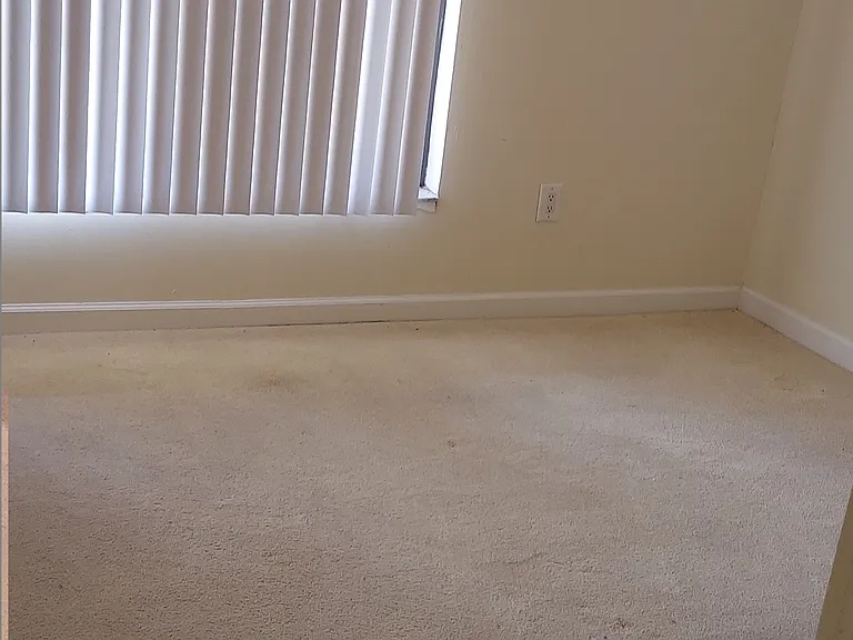 7430 Lake Breeze Dr — Photo 11