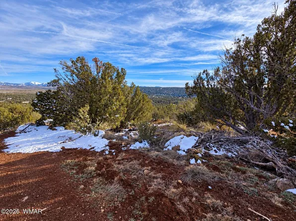 10 Co Rd, Vernon, AZ 85940