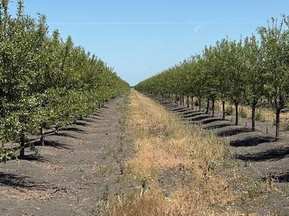99600 N Douglas Ave, Firebaugh, CA 93622