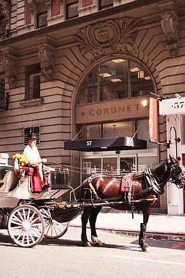 Sold by Fisher Pei International Realty, Inc. | media 8