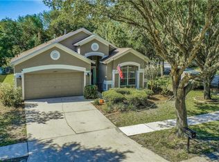 15411 Martinmeadow Dr, Lithia, FL 33547