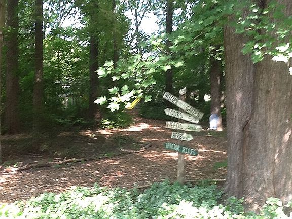 Wood Chip Trails
