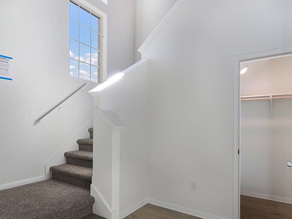 Elevation Image 2.