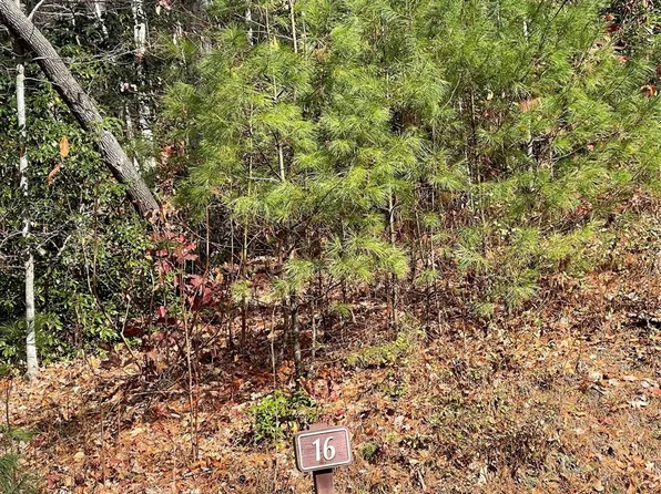 0 Juniper Berry Ln, Zirconia, NC 28790