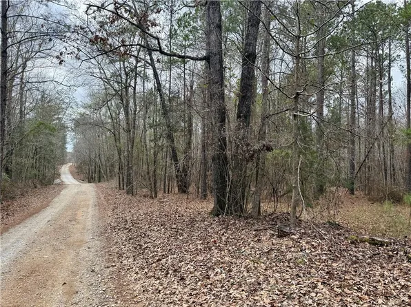 0 White Owl Way, Seale, AL 36875