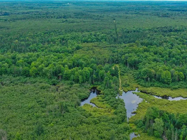 160 ac Cedar Road, Merrill, WI 54452