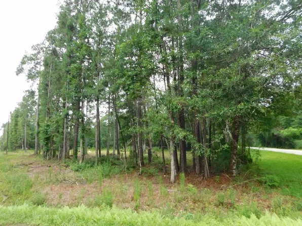 4783 Bob White Rd, Silsbee, TX 77656