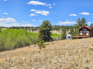 487 Indian Lane, Hartsel, CO 80449