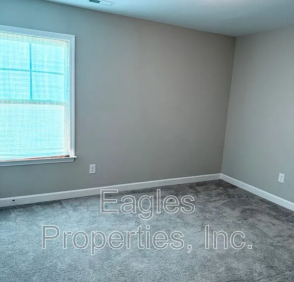 117-1 Kenbridge Ln — Photo 16