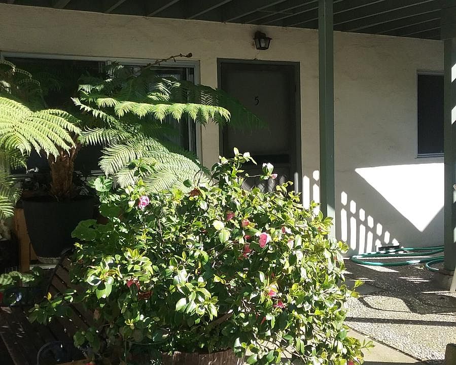 1st image of 206 Caledonia St APT 5