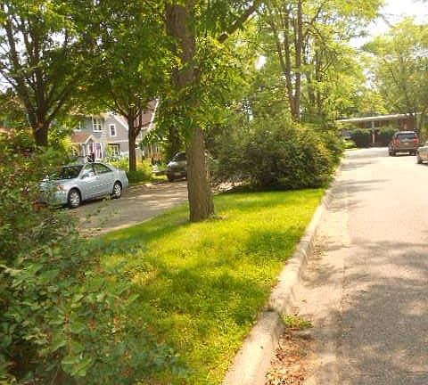 5th image of 1029 Woodbridge Blvd