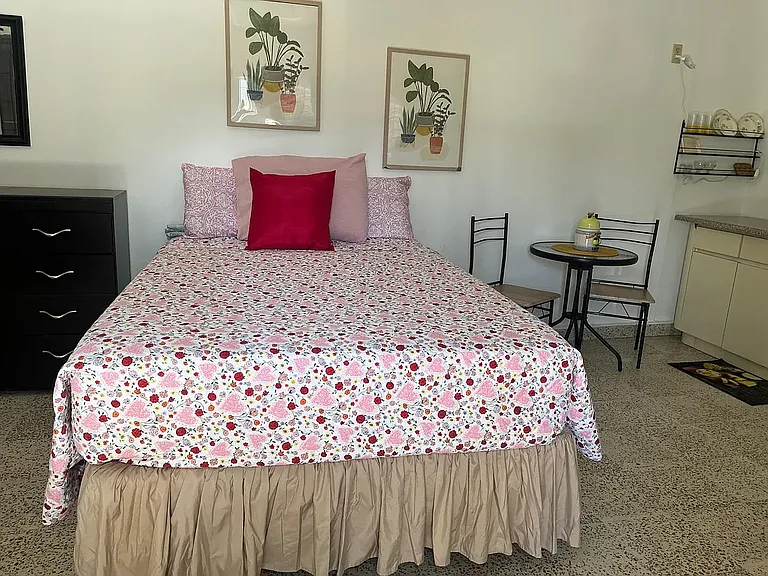 53C Araez — Photo 7