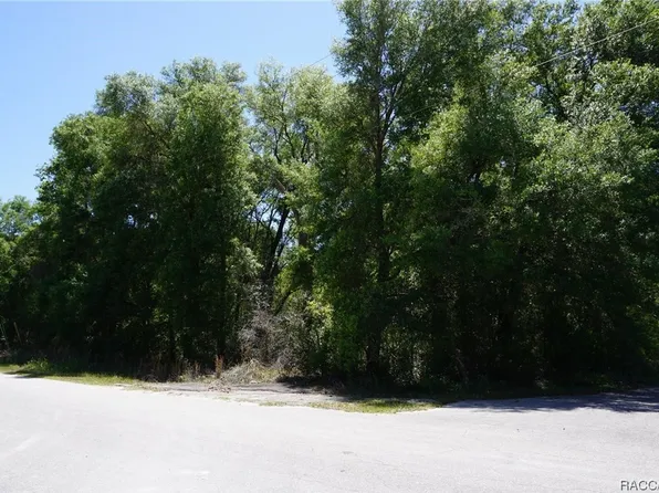 1684 E Manko Dr, Hernando, FL 34442