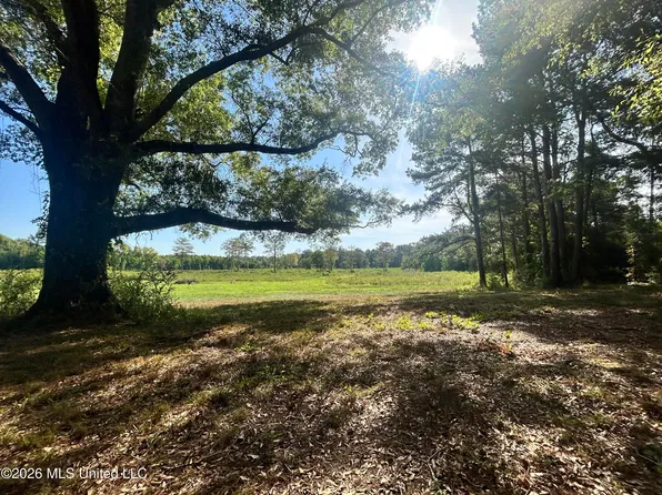 Shivers Ln, Prentiss, MS 39474