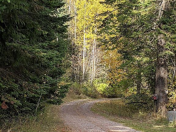 Driveway from house.