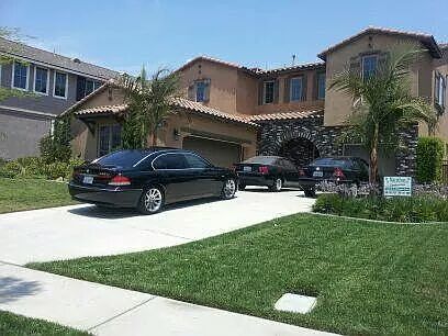 front view king palms....