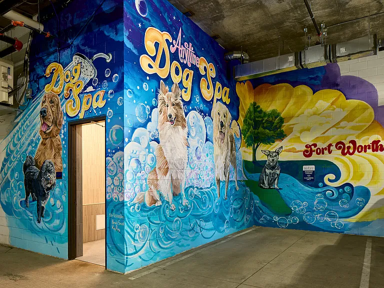 New South Building Dog Spa