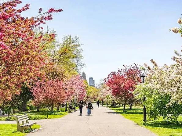 241 West 97th Street image 16 of 16