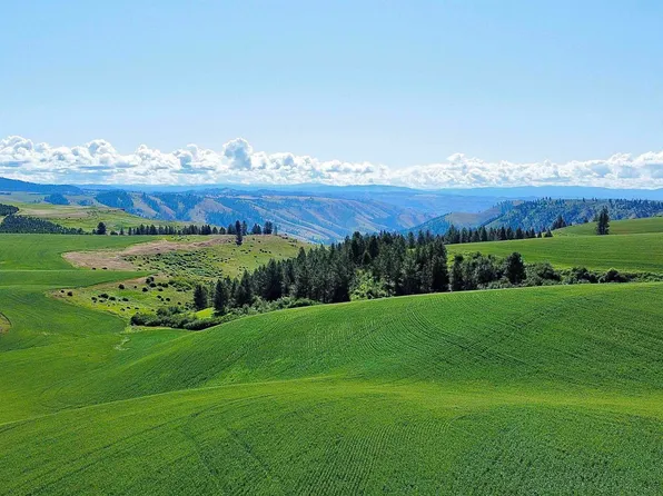 Basket Rd, Nezperce, ID 83543