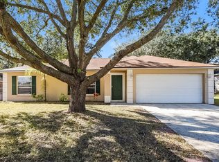 617 Willow Run St, Minneola, FL 34715