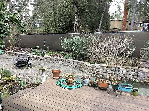 Back yard