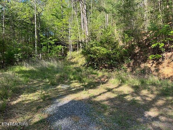 5th image of Dove View Rd #5