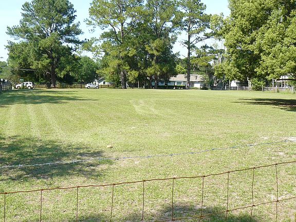  Horses Roaming or Children’s Soccer Field 