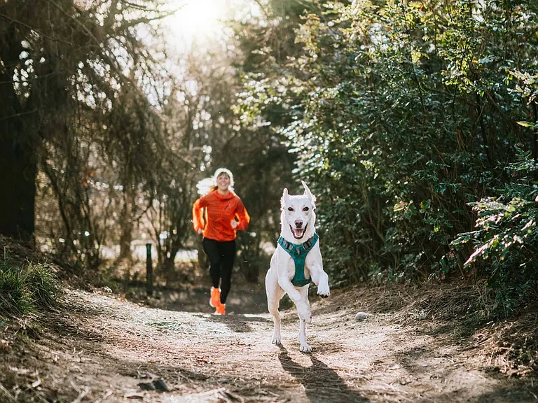 Enjoy a peaceful hike with your dog through the neighborhood, surrounded by scenic views and fresh air.