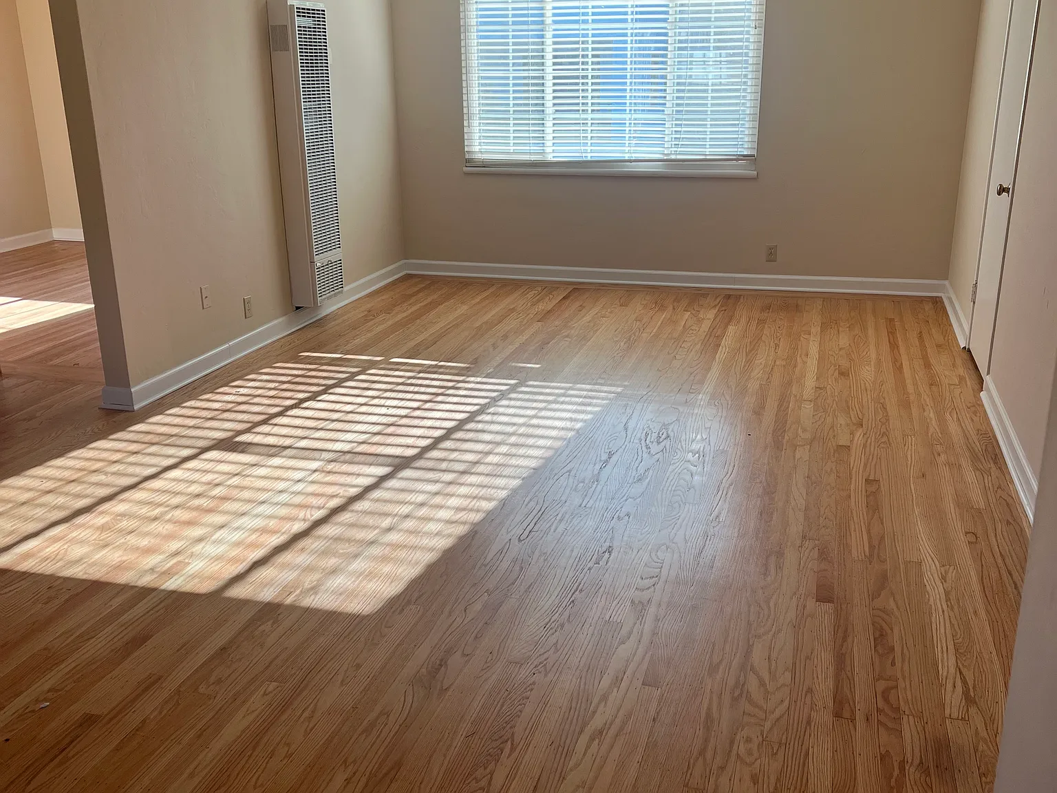 1 bed, 650 sqft, $3,100 — Photo 3