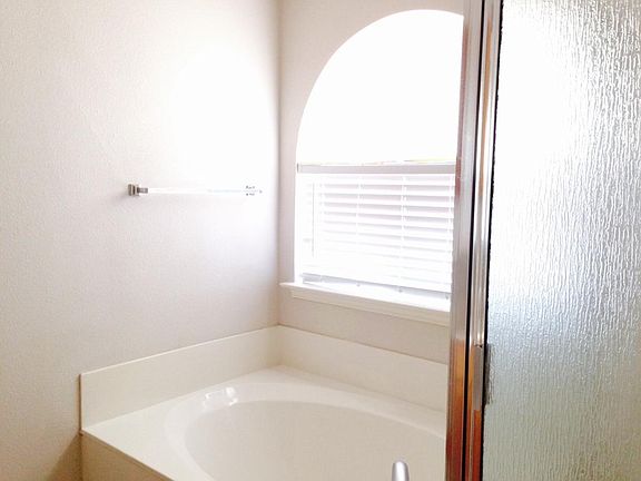 master bath - tub and shower