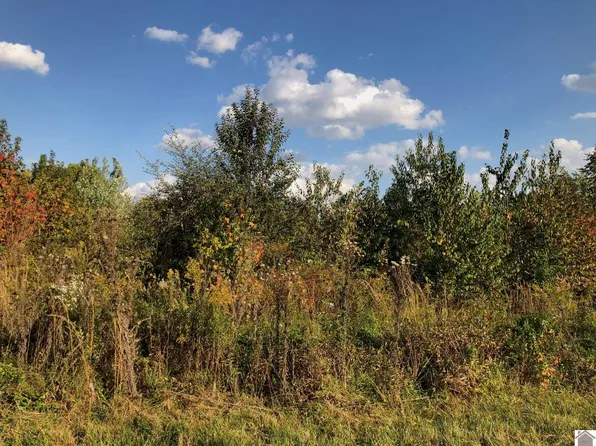 45 Chris Dr, Mayfield, KY 42066