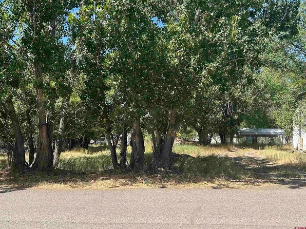 610 Grape Street, Nucla, CO 81424