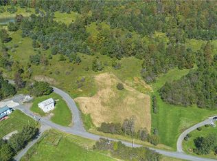 L11118 Sam Lape Rd, Summit, NY 12175