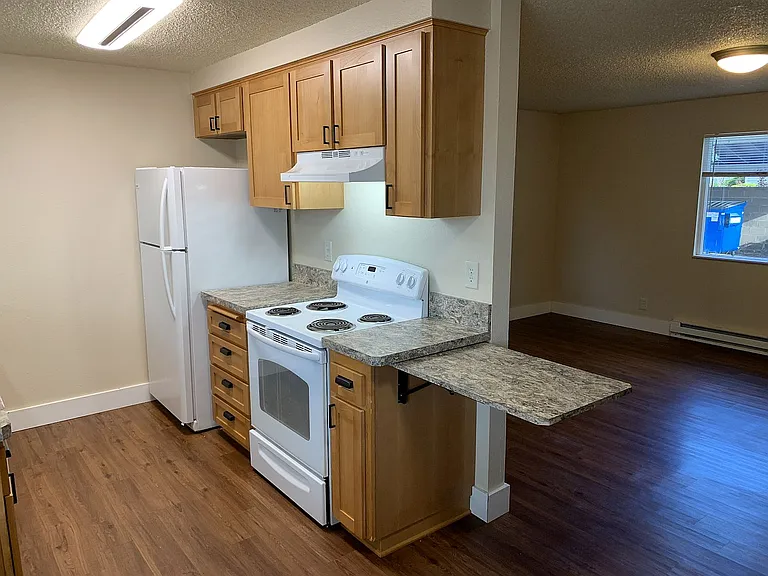 Kitchen and Dining Room