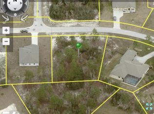 9650 Pantera Loop, Brooksville, FL 34613
