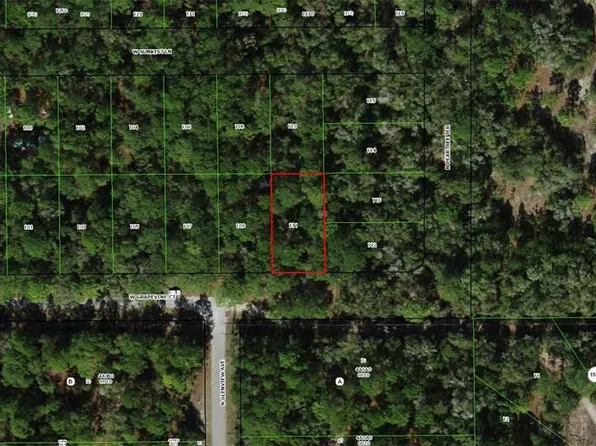 2797 W Grapevine Ct Lot 111, Dunnellon, FL 34433