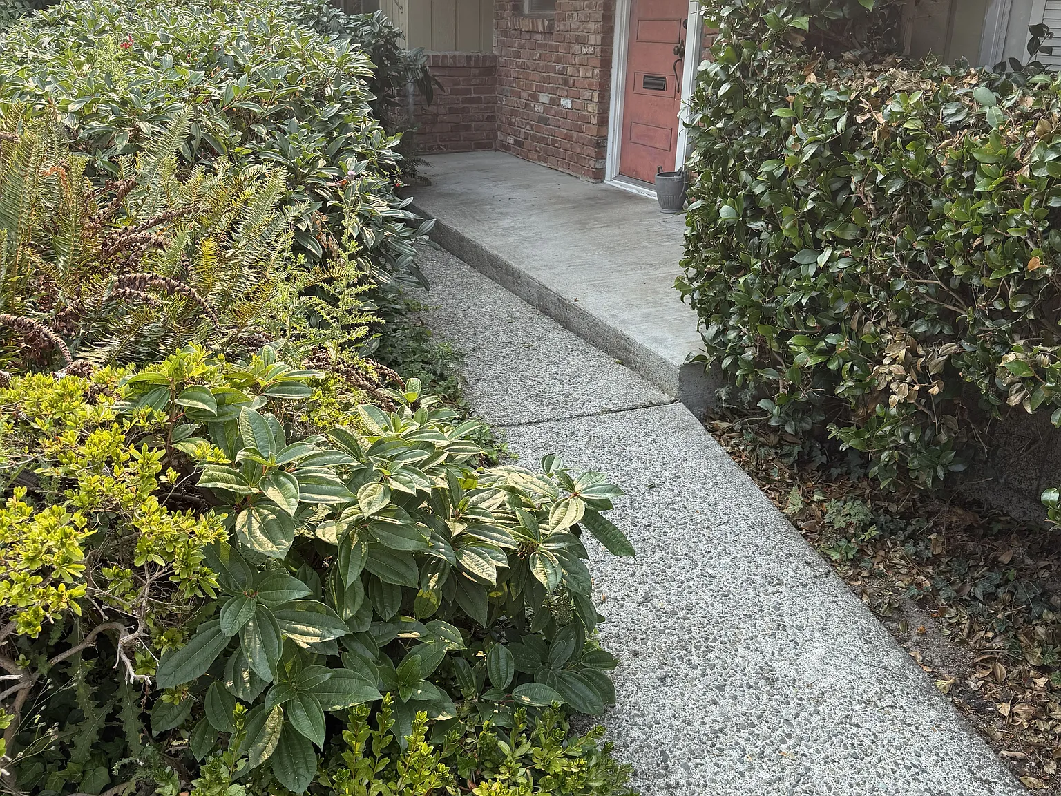 3 bed, 1.5 bath, 1370 sqft, $3,300 — Photo 3