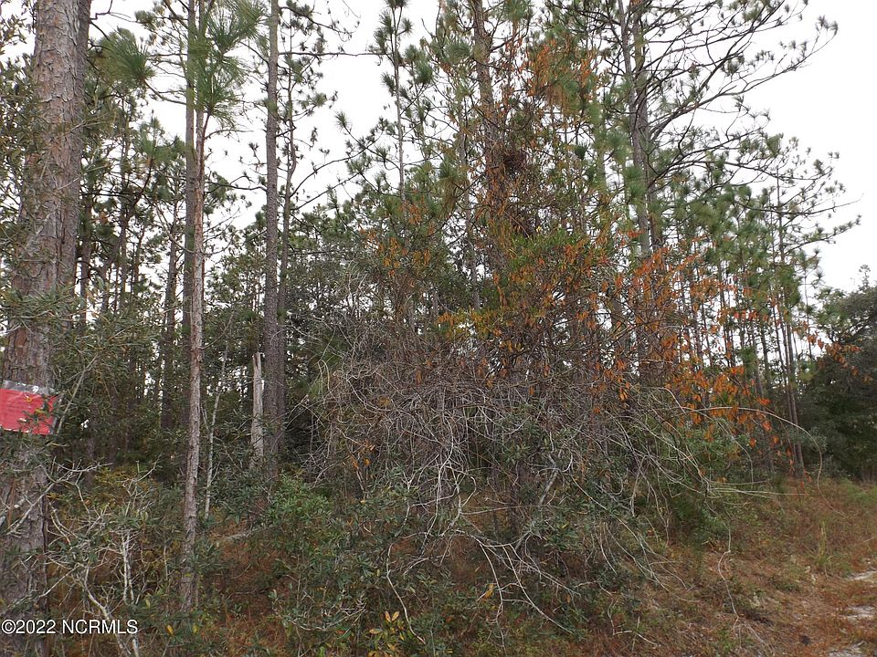 2nd image of 586 Palmer Drive LOT 5A